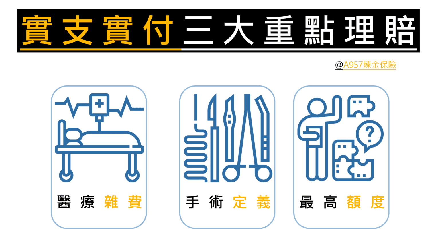 實支實付醫療險-重點理賠項目