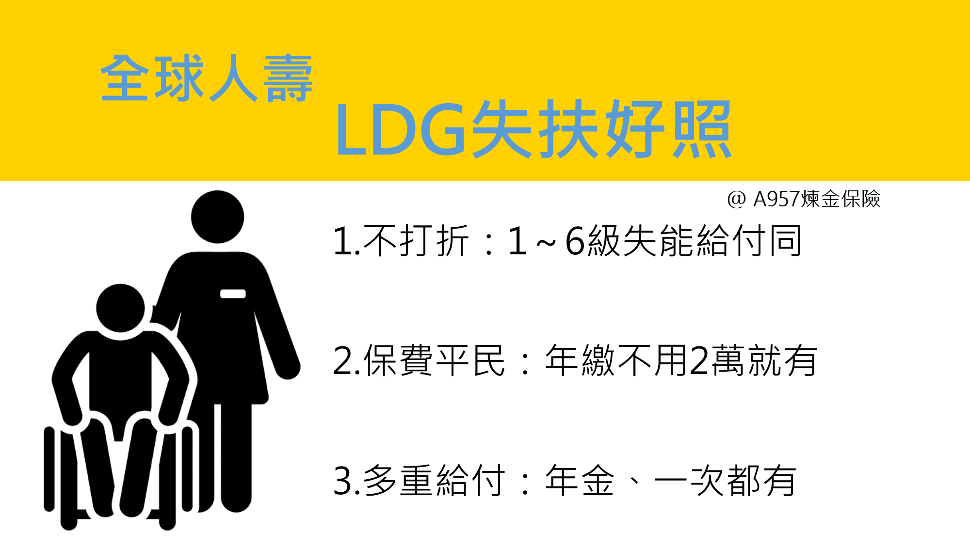 全球LDG失扶好照，推薦失能險主約，搭配XHR，年繳便宜，家庭通用 2