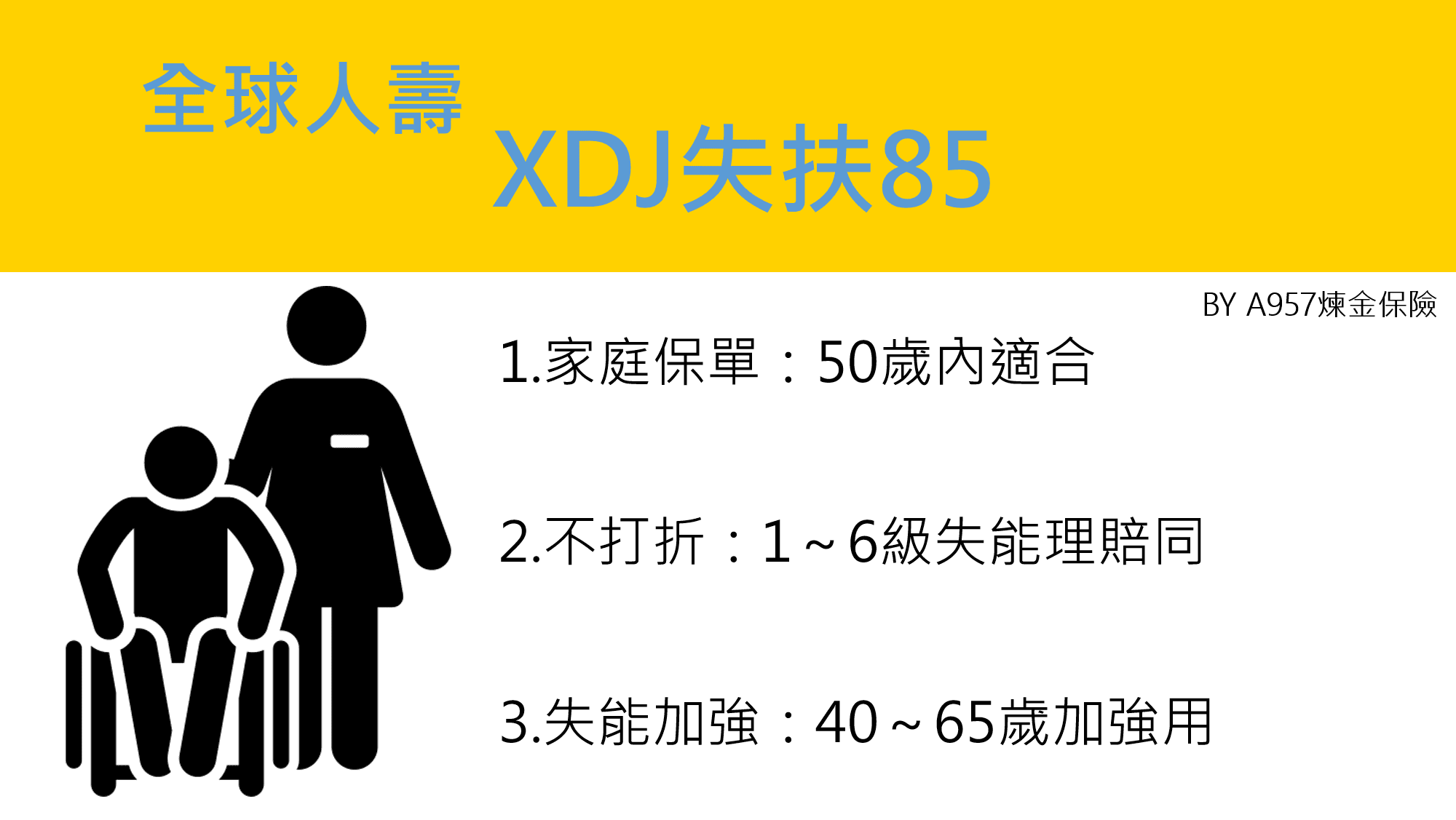 xdj-全球失能險定期附約-失扶85